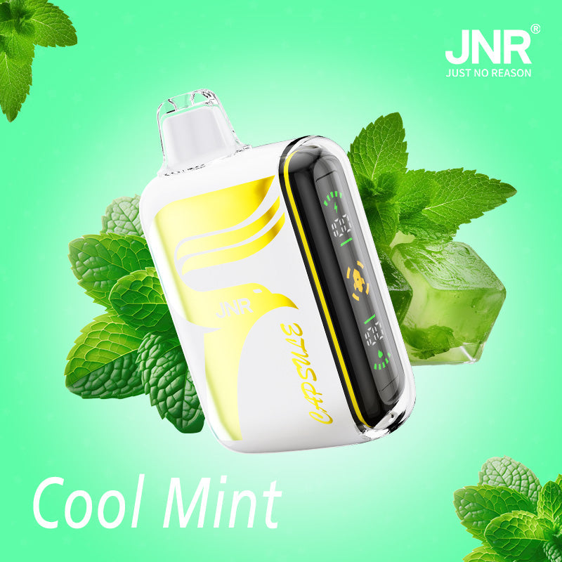 JNR Digital Box 15000 Puffs Wegwerp Vape (Doos van 10)