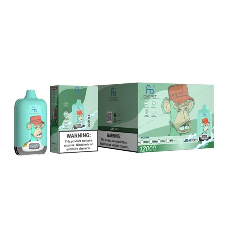 RAndM Digital Box 12000 Puffs Disposable Vape (Doos van 10)