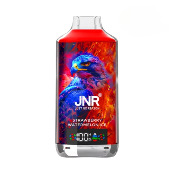 JNR Falcon X 18000 Puffs Wegwerp Vape (Doos van 10)
