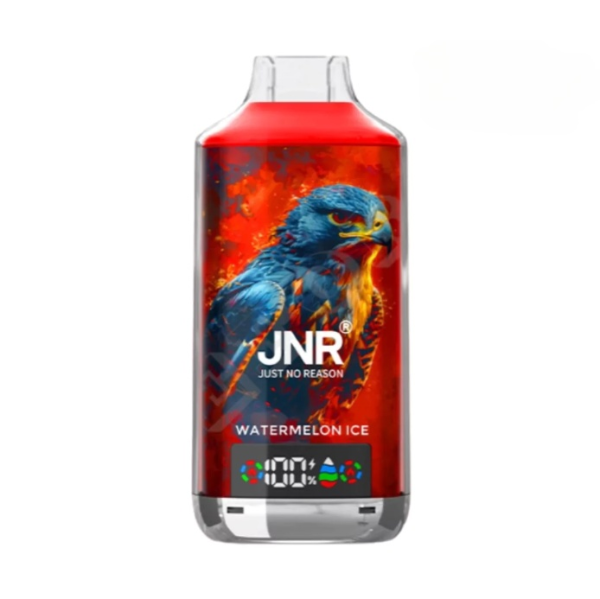 JNR Falcon X 18000 Puffs Wegwerp Vape (Doos van 10)
